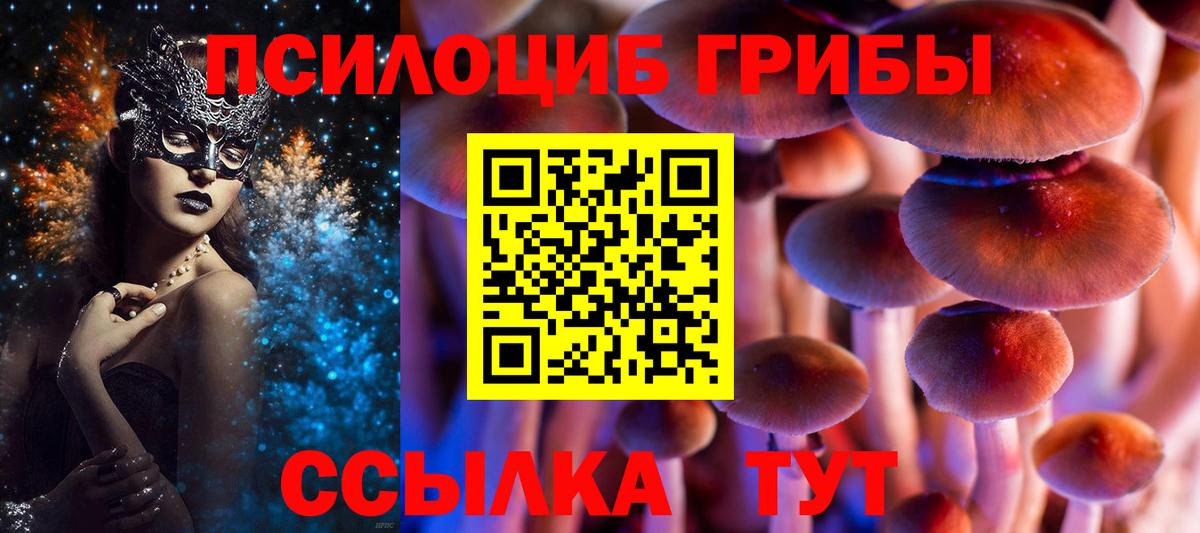 Ростов Великий  Псилоцибиновые грибы Magic Shrooms  Галлюциногенные грибы мухоморы  Вход с VPN 